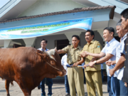 HUKUM BERKURBAN ATAS NAMA PERUSAHAAN