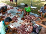 HUKUM SEPUTAR KEUNTUNGAN DAN RISIKO BAGI PANITIA KURBAN