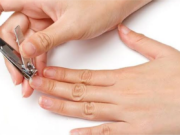 LARANGAN MEMOTONG KUKU DAN RAMBUT BAGI YANG HENDAK BERKURBAN