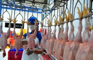 APAKAH SEMBELIHAN ORANG KRISTEN SEKARANG, HALAL BAGI UMAT ISLAM?