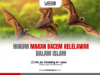 HUKUM MAKAN BACEM KELELAWAR DALAM ISLAM