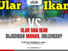 ULAR DAN IKAN DIJADIKAN MAHAR NIKAH, BOLEHKAH?