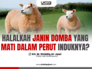 HALALKAH JANIN DOMBA YANG MATI DALAM PERUT INDUKNYA?