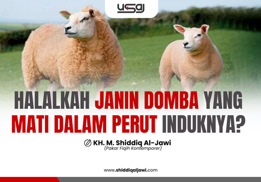 HALALKAH JANIN DOMBA YANG MATI DALAM PERUT INDUKNYA?