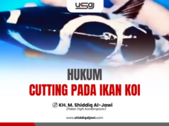 HUKUM CUTTING PADA IKAN KOI