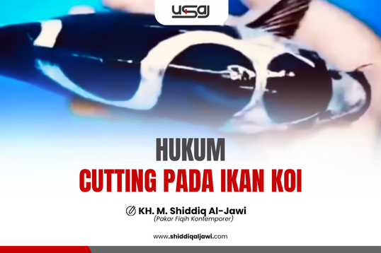 HUKUM CUTTING PADA IKAN KOI