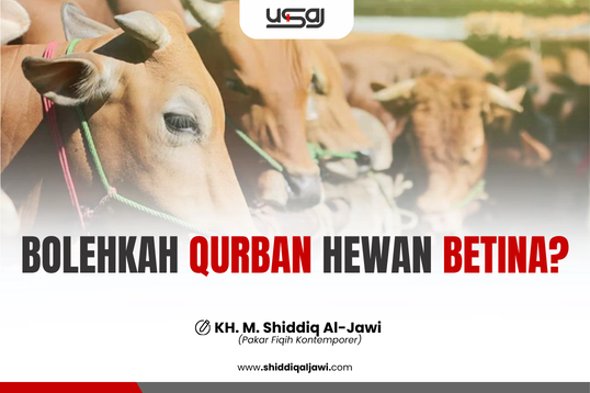 BOLEHKAH QURBAN HEWAN BETINA