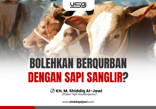 BOLEHKAN BERQURBAN DENGAN SAPI SANGLIR?